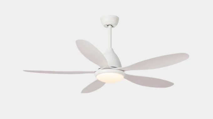 ceiling fan