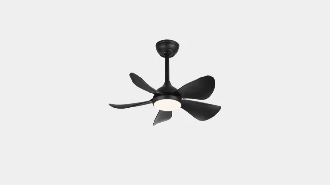 ceiling fan