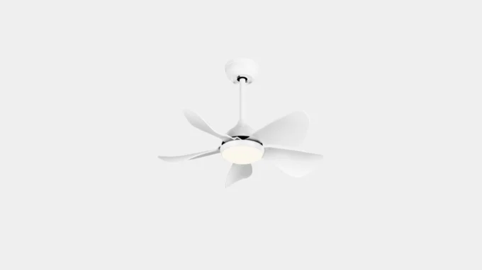 ceiling fan