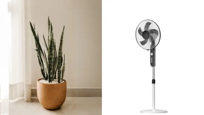 stand fan