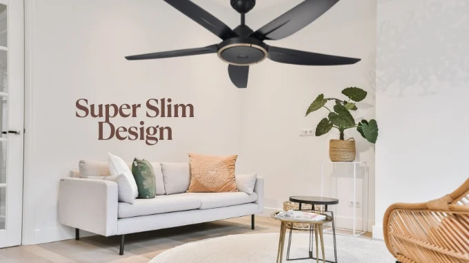 ceiling fan