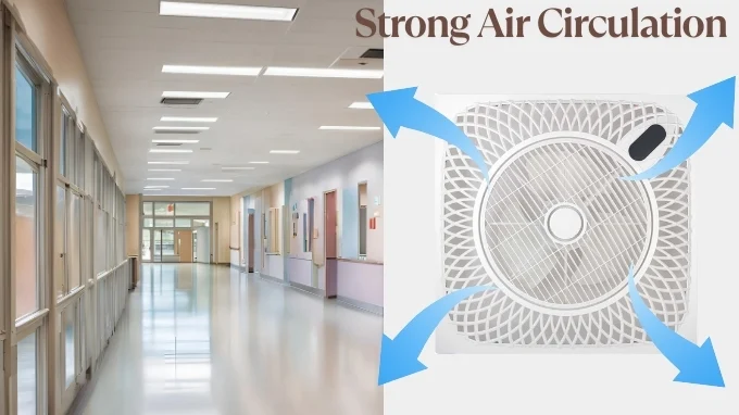 ceiling fan