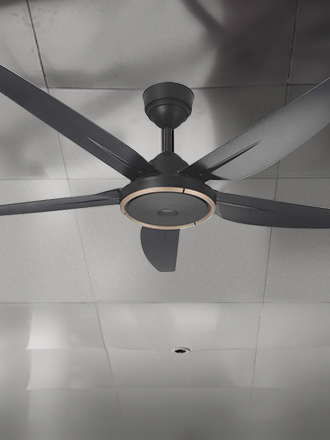 Ceiling Fan